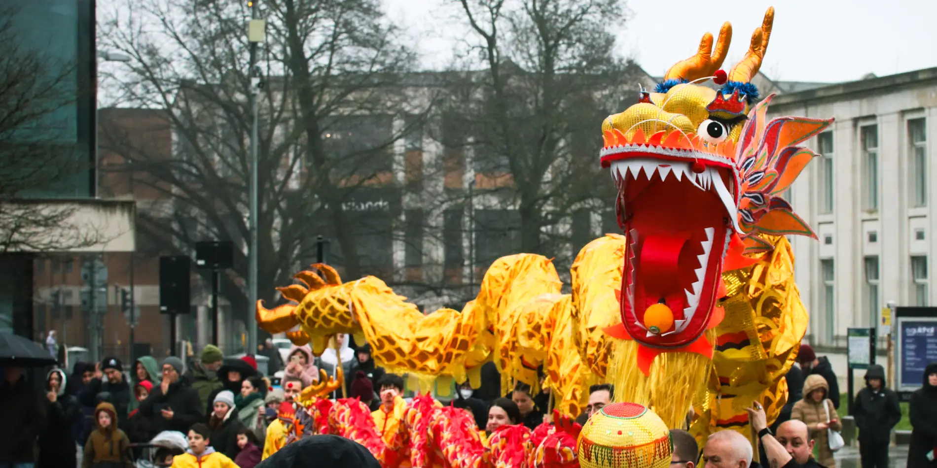 Chinese Dragon Dance Chinese New Year Southampton 2026