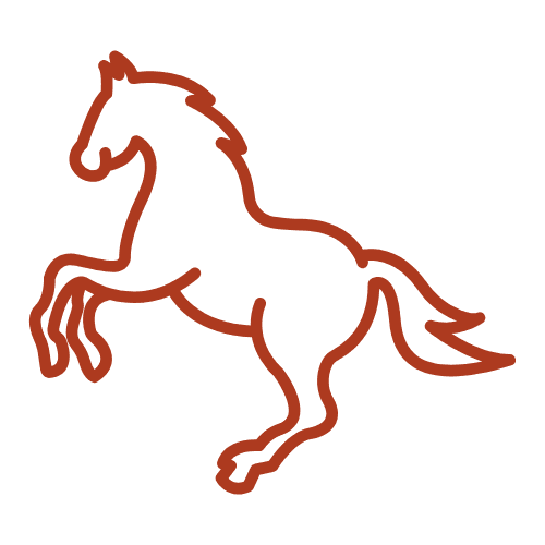 year of the horse 2026